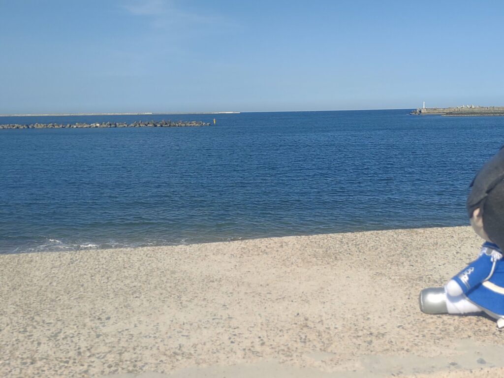 ぬい撮り 阿字ヶ浦 海