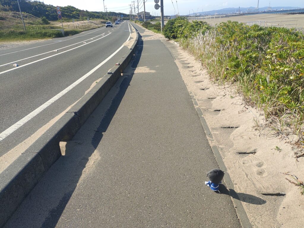 阿字ヶ浦 海沿い 道路
