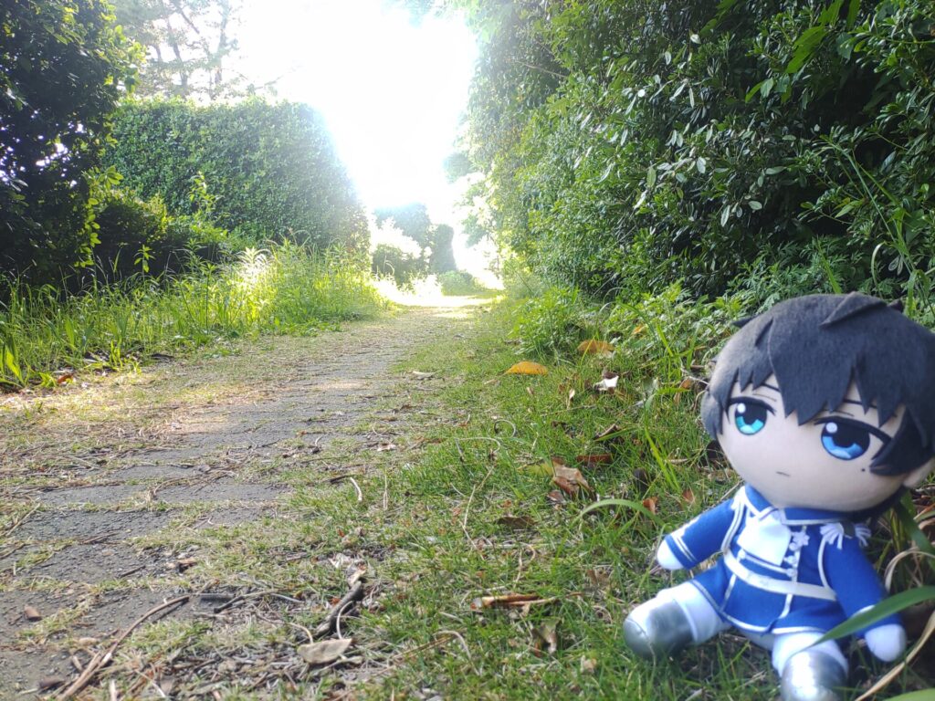 阿字ヶ浦 公園沿い ぬい撮り 草