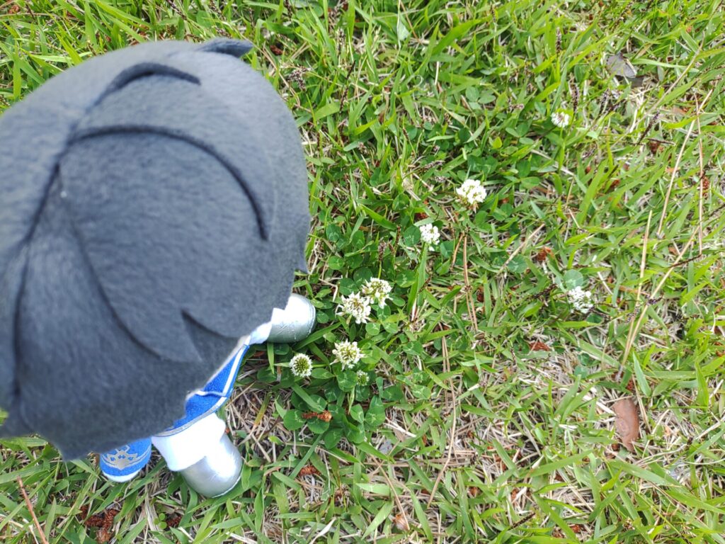 シロツメクサと恭二ぬい