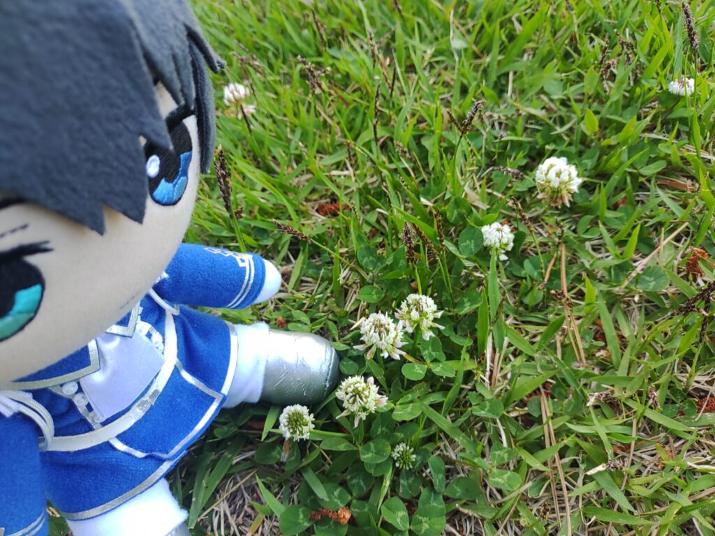シロツメクサと恭二ぬい その2