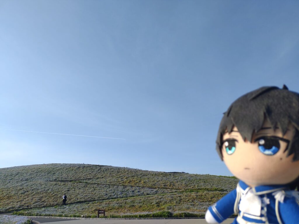 ひたち海浜公園 恭二ぬいとネモフィラ その10