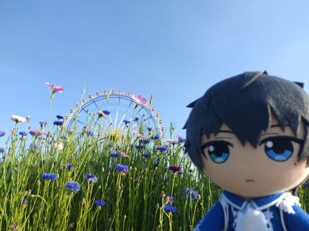 ひたち海浜公園の観覧車 ぬい撮り