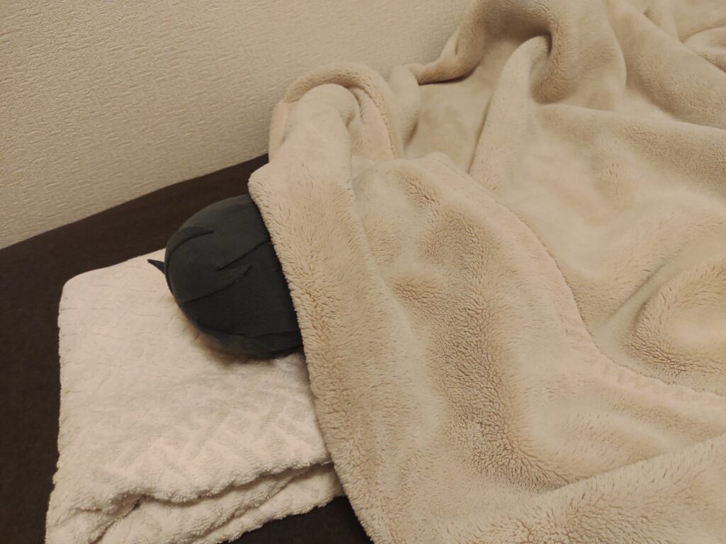 疲れて寝る恭二ぬい