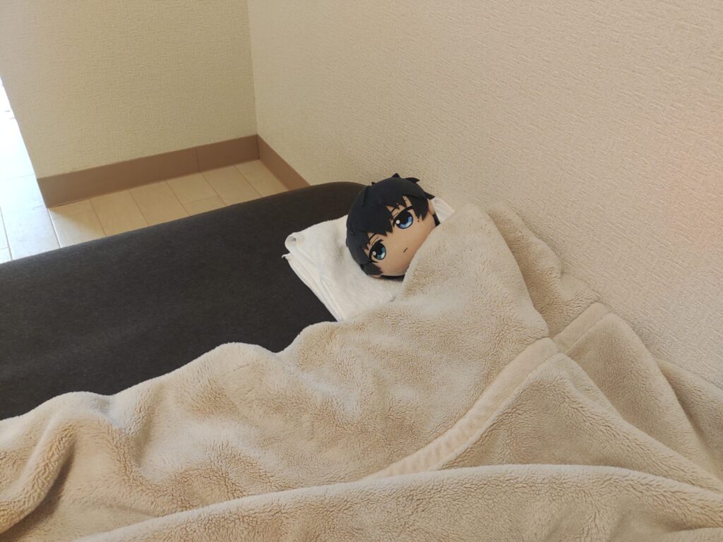 寝起きの恭二(ぬい) ぬい撮り