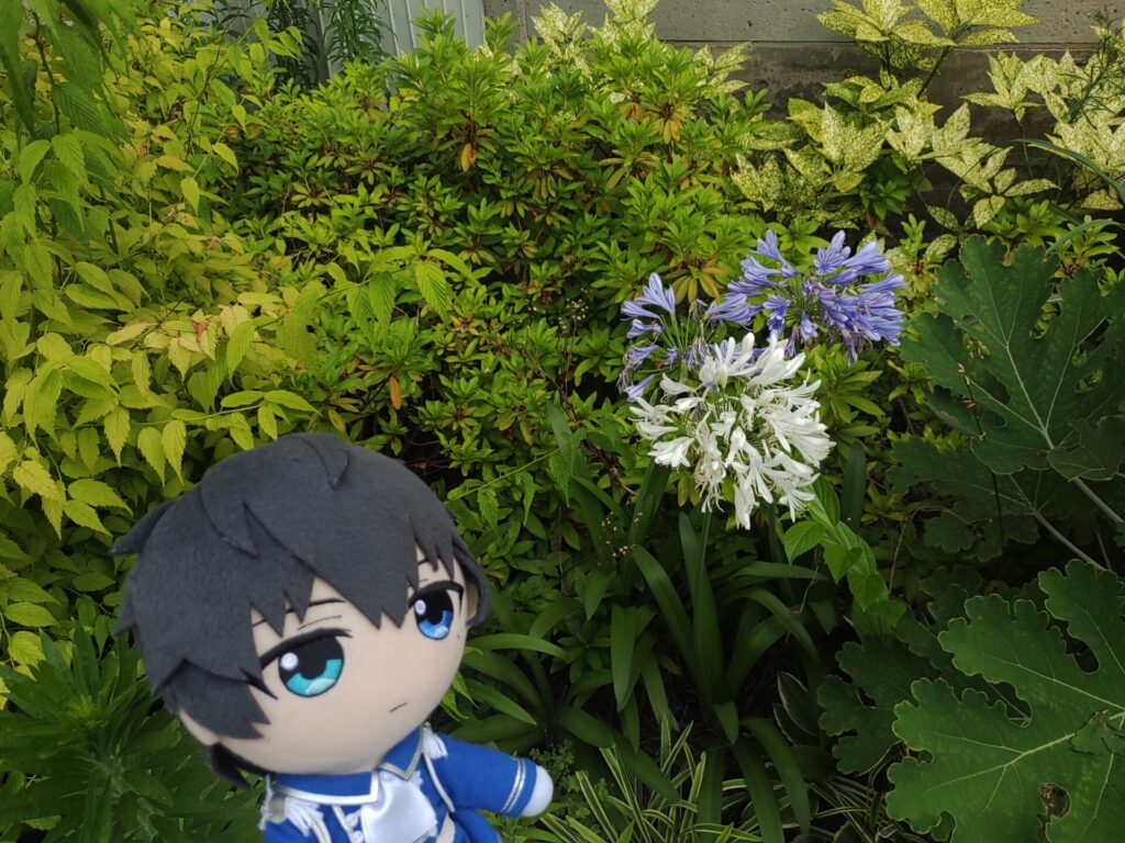 お花と恭二ぬい