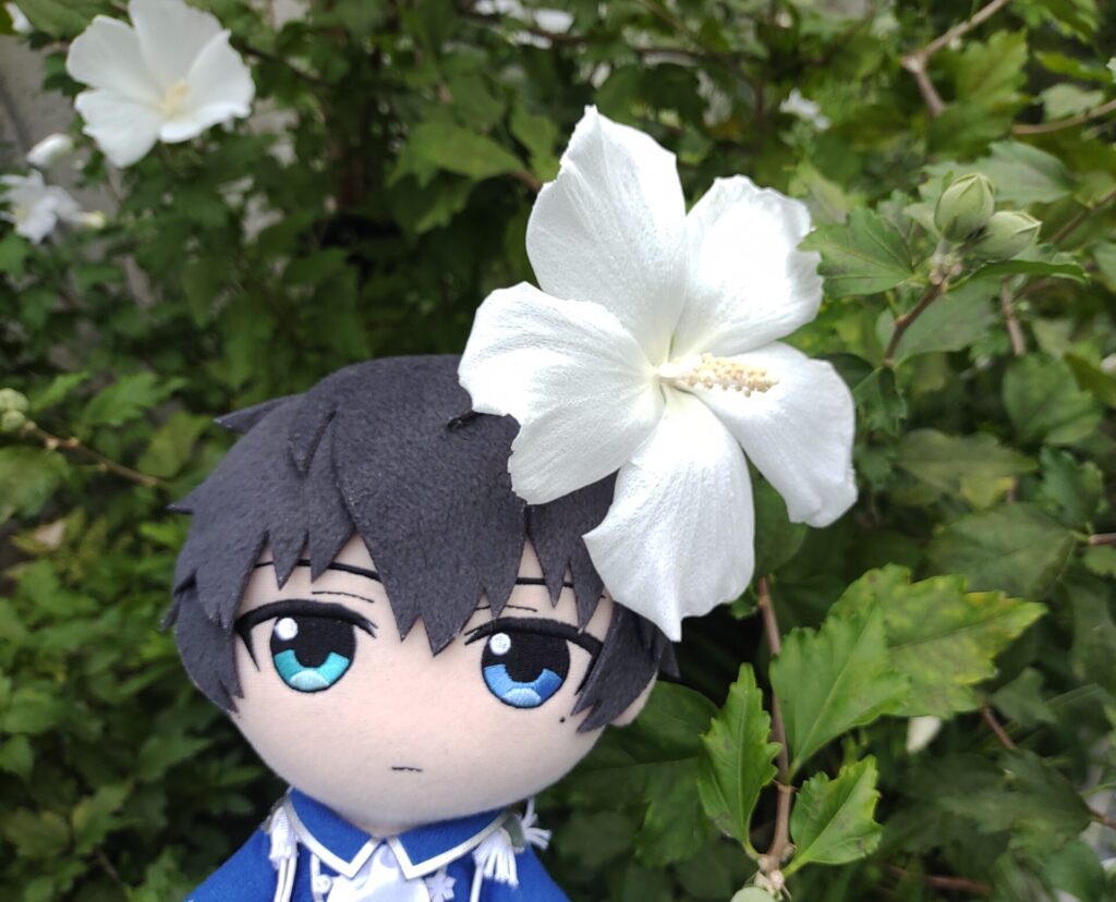 恭二ぬいとお花 ぬい撮り